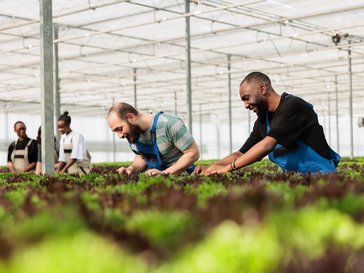 Gardening Class 8:00 am - Winter Garden Farmers Market