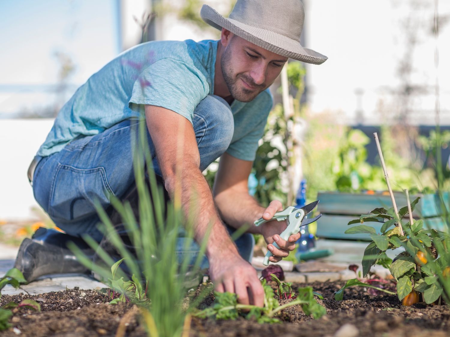 Gardening Class 12:00 pm - Orlando Farmers Market (Lake Eola)