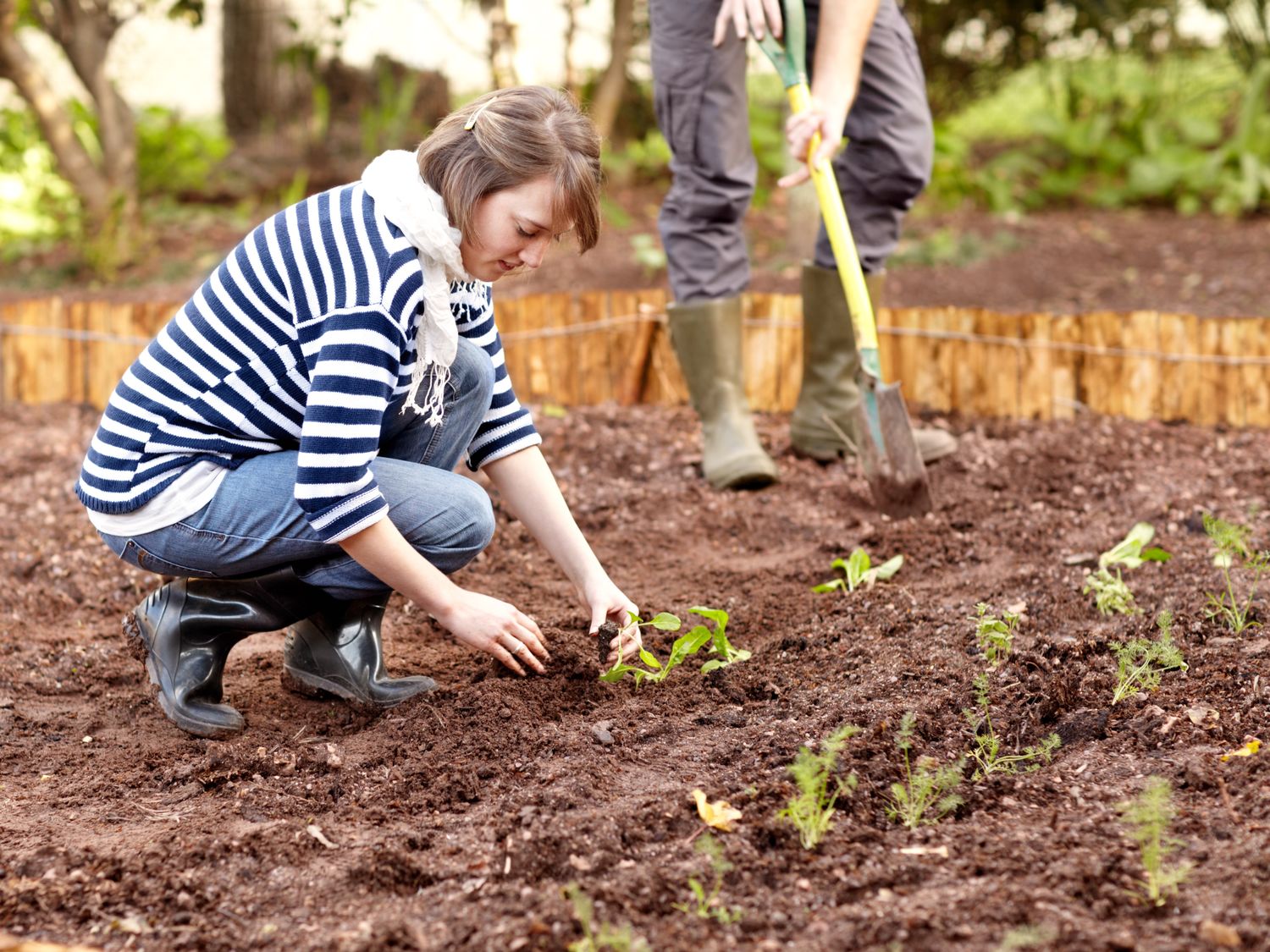Gardening Class 9:00 am - Winter Garden Farmers Market